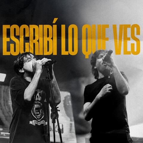 Escribí Lo Que Ves album art