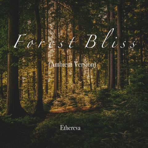 Forest Bliss (Ambient Version) album art