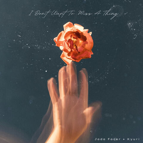 I Don't Want to Miss a Thing album art