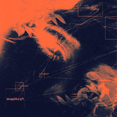 Buscándote album art