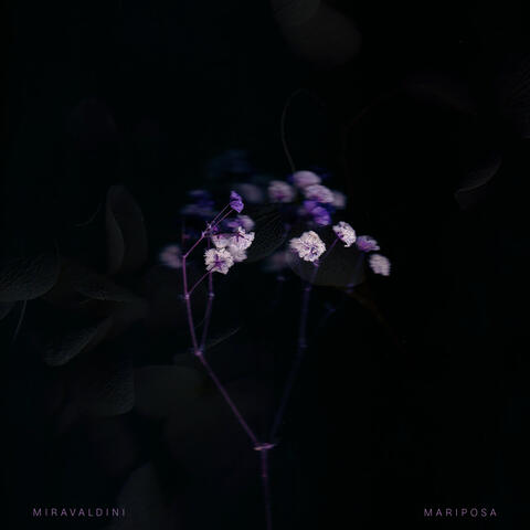 Mariposa album art
