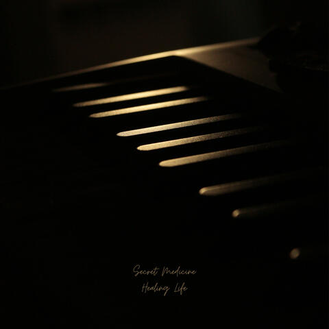 Healing life album art