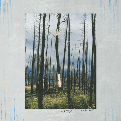 Watercress album art