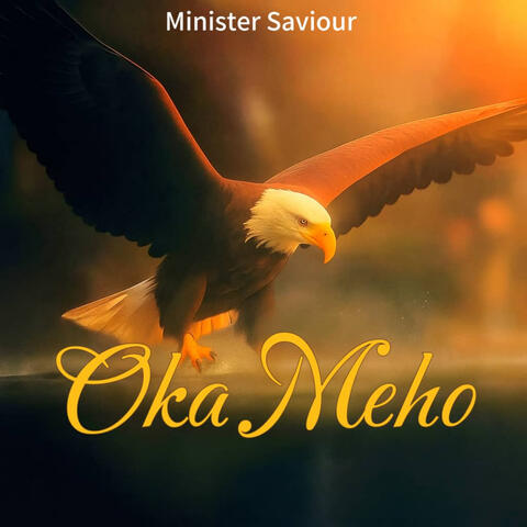 OKA MEHO album art