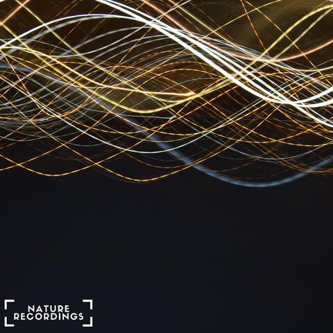 Ambient Healing of Nature - Theta Frequency 528Hz album art