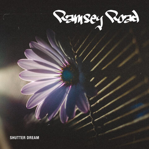 shutter dream album art