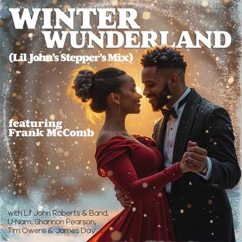 Winter Wunderland album art