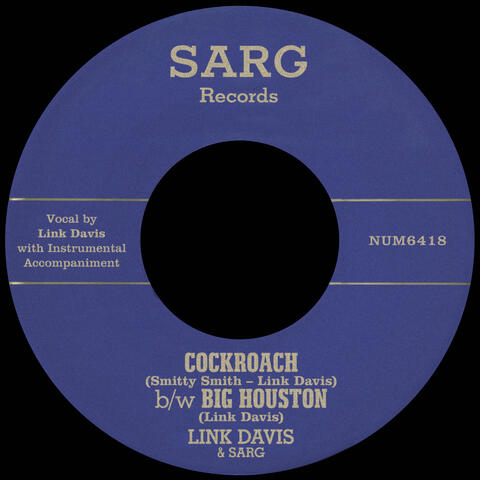 Cockroach b/w Big Houston album art