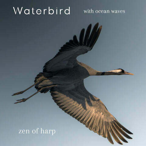 Waterbird with ocean waves album art