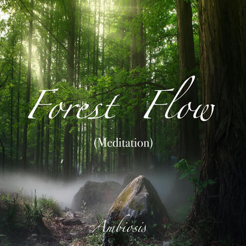 Forest Flow (Meditation) album art