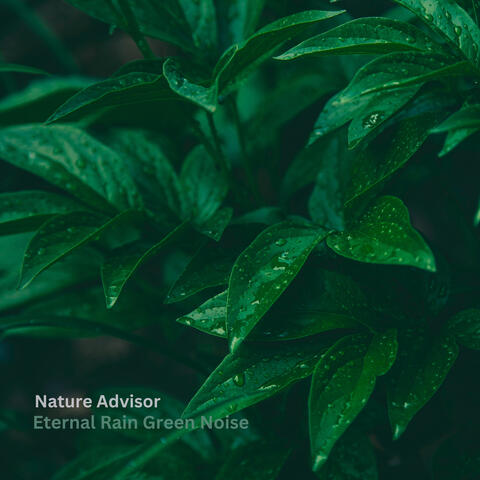 Eternal Rain Green Noise album art