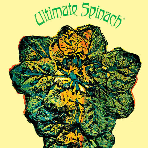 Ultimate Spinach album art