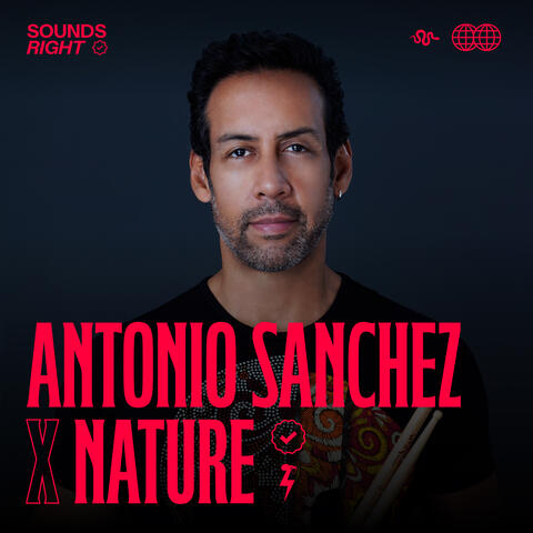 Drumming With The Birds (feat. NATURE) album art