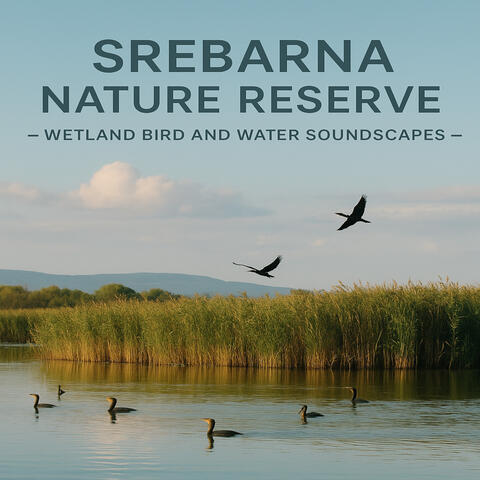 Srebarna Nature Reserve – Wetland Bird Soundscapes album art