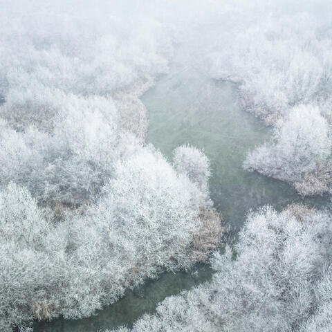 Winter Meditations album art