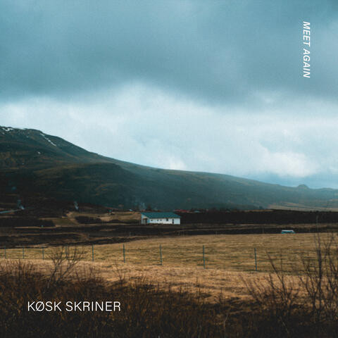 Meet Again album art