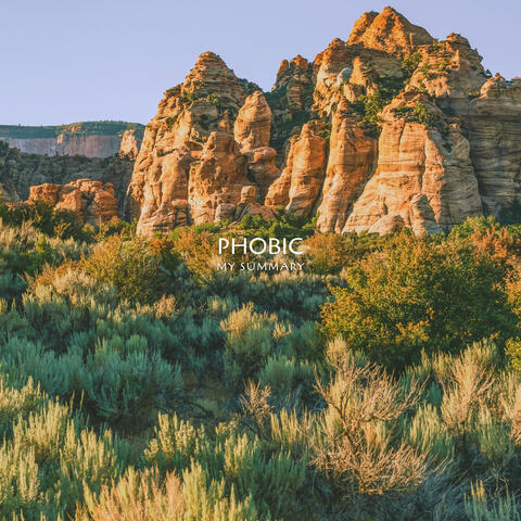 My Summary album art