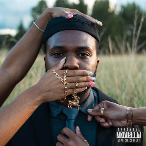 Ladies Love Gold album art