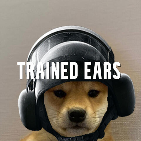 R6 Trained Ears album art