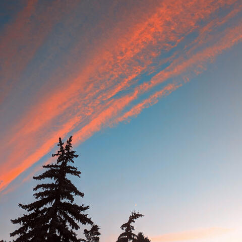 A Quiet Solitude album art