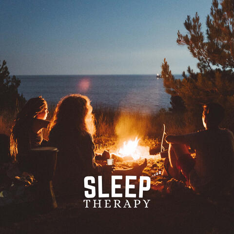 Crackling Fire Ambience album art