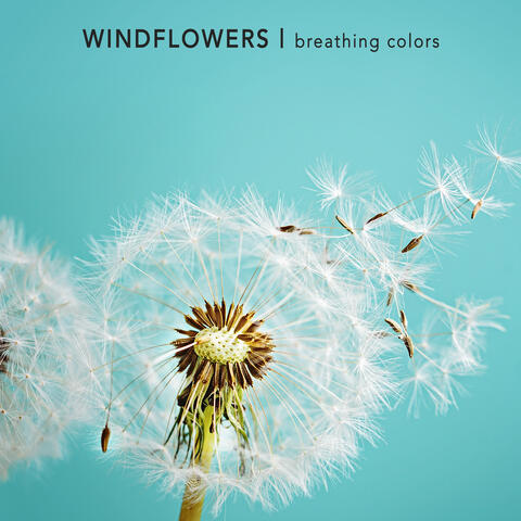 Breathing Colors album art