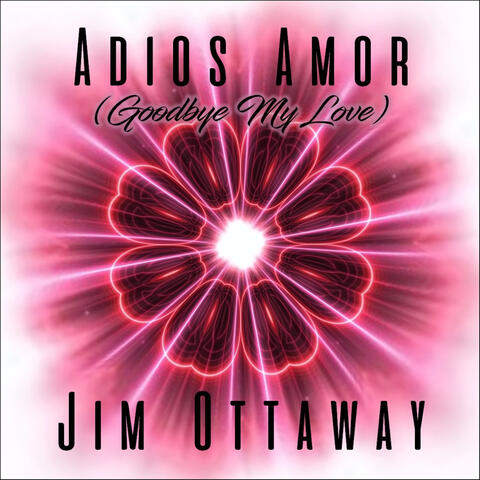 Adios Amor (Goodbye My Love) album art