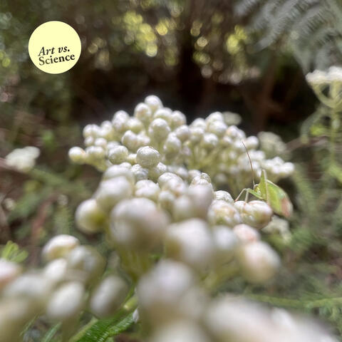 Balance and Complexity album art