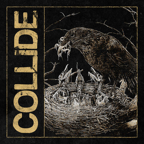 Collide album art