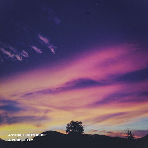 A Purple Fly album art