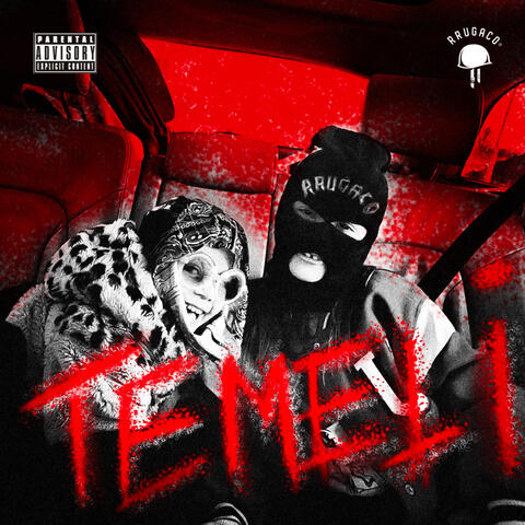 TEMELI 2 album art