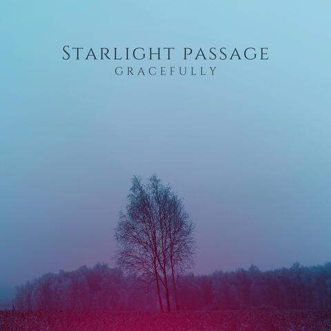 Gracefully album art