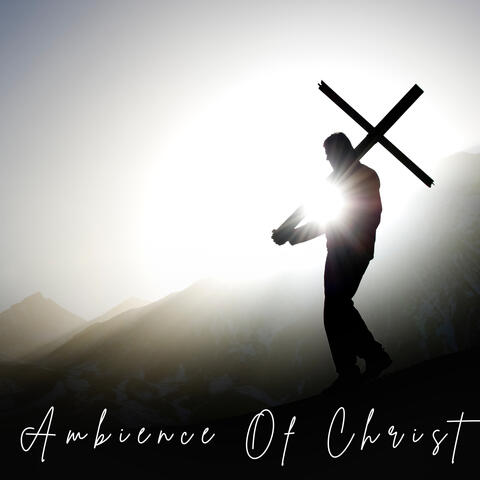 Hallelujah Shine album art