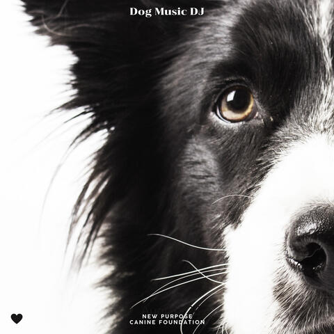 New Purpose Canine Foundation album art