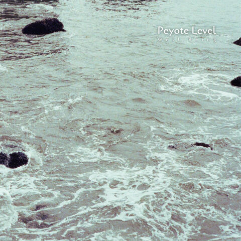 Well Being album art