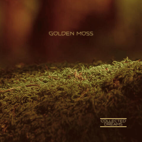 Golden Moss album art