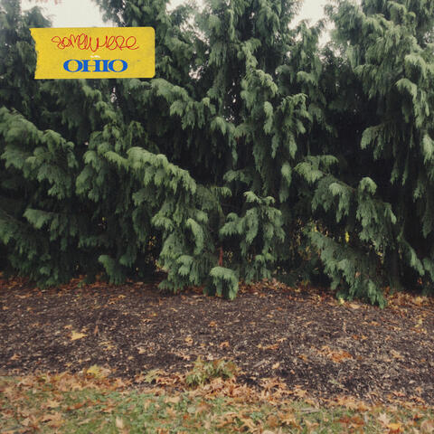 Somewhere in Ohio... (Remixes) album art