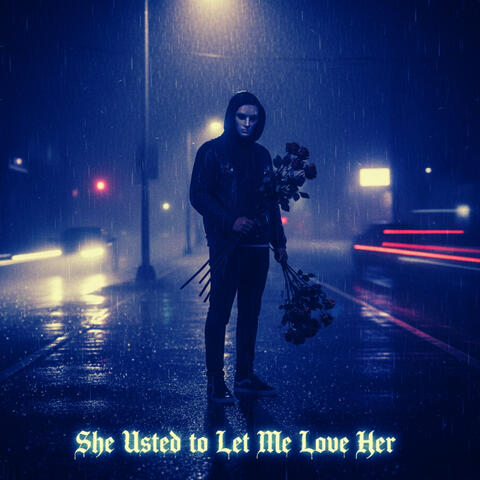 She Used to Let Me Love Her album art