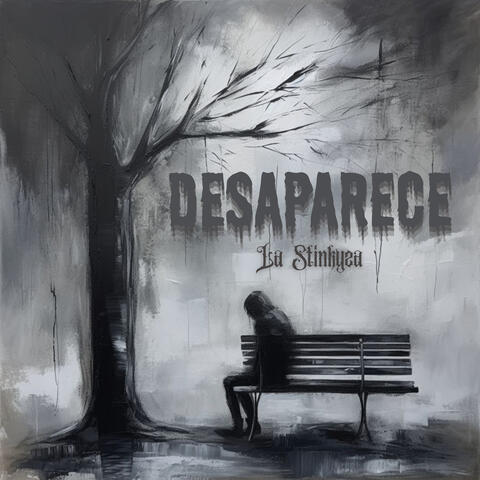 Desaparece album art