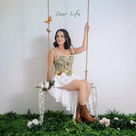 Dear Life album art