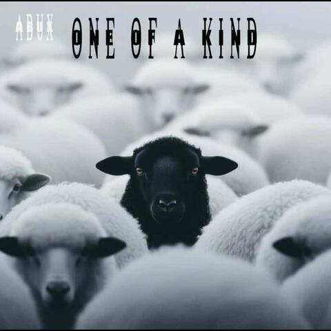 One of a kind album art