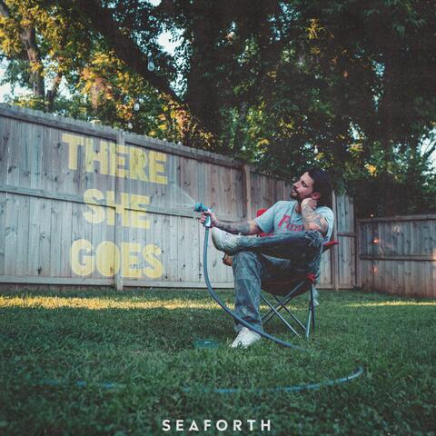 THERE SHE GOES album art