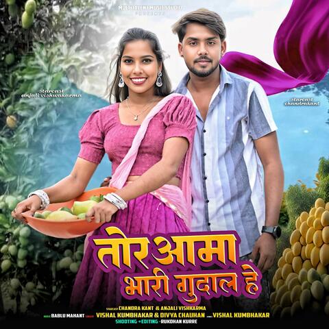 Tor Aama Bhari Gudal He album art