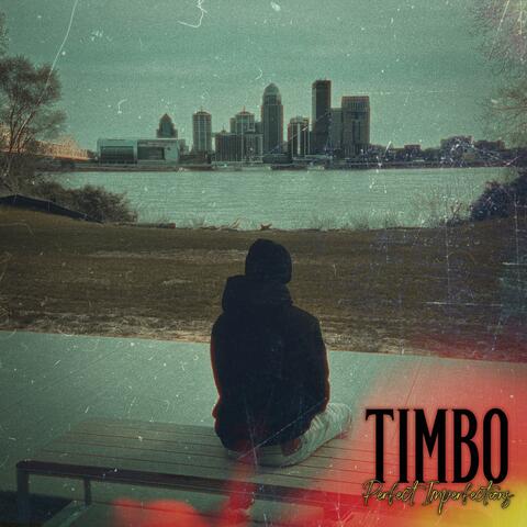 Perfect Imperfections album art