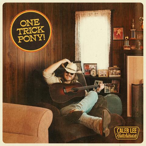 One Trick Pony album art