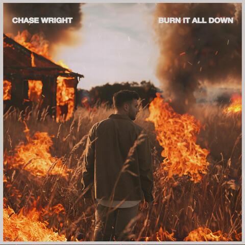 Burn It All Down album art