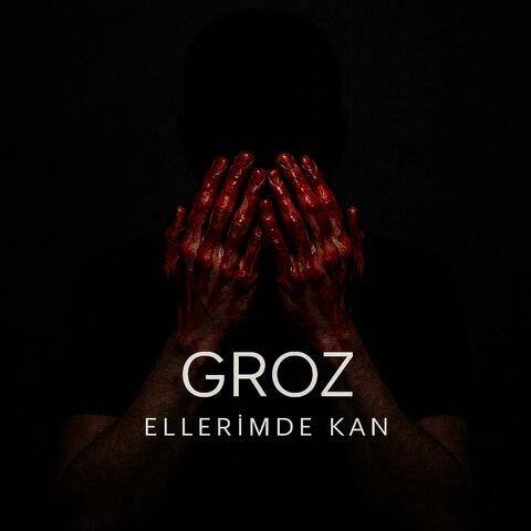 Ellerimde Kan album art