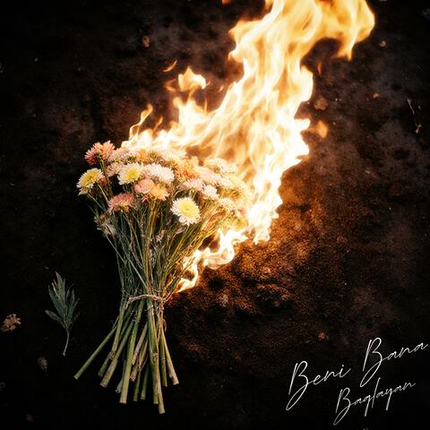 Beni Bana Bağlayan album art