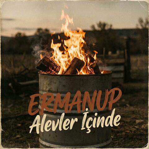 Alevler İçinde album art