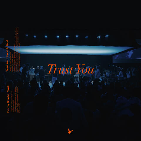 Trust You album art